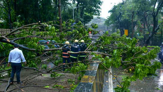 123 Dead as Cyclone Ditwah Causes Severe Flooding Across Sri Lanka