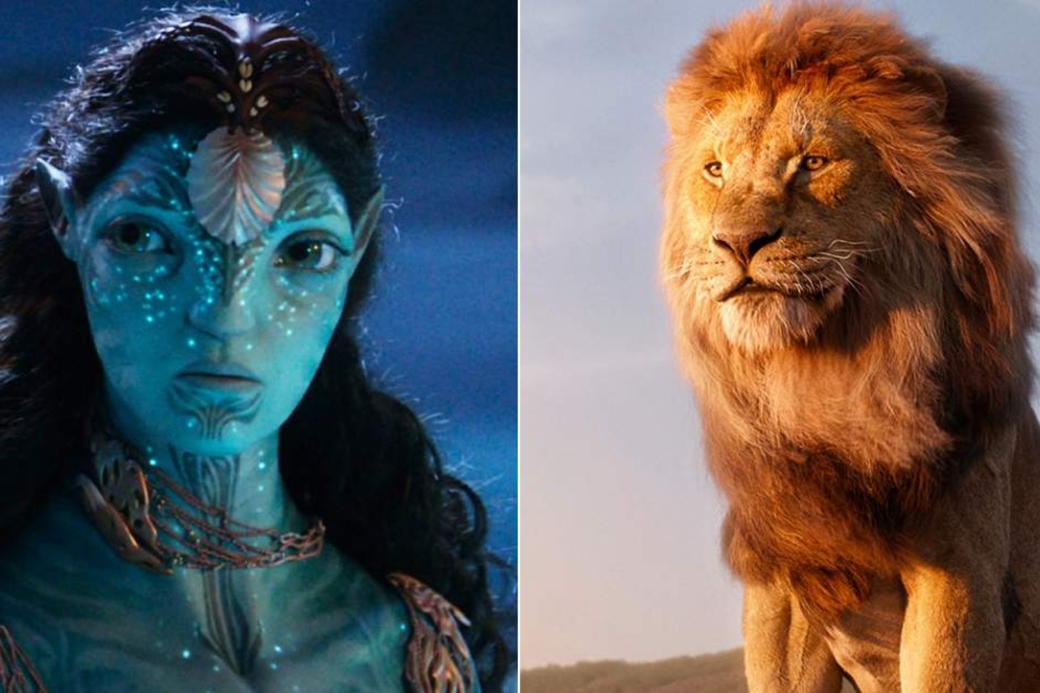 Avatar Fire and Ash Crosses Lion King to Become Sixth Highest-Grossing Hollywood Film in India