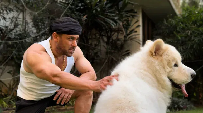 Salman Khan Shares Sweet Sunday Moments With His Furry Friend 