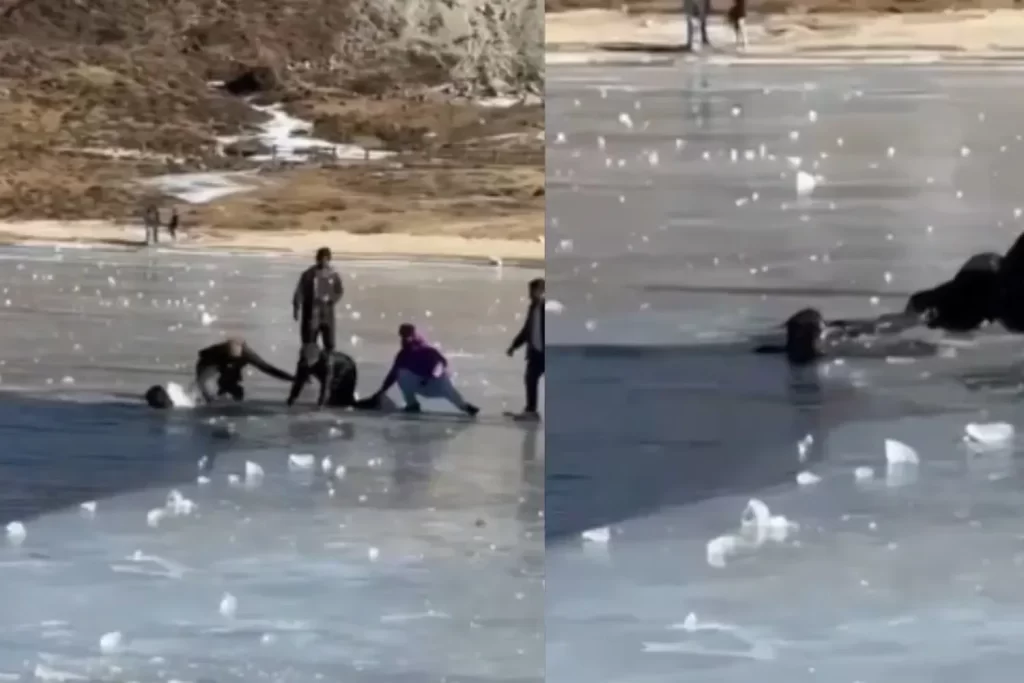 Two Kerala Tourists Die After Slipping Into Frozen Sela Lake in Arunachal Pradesh